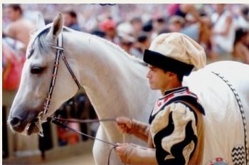 Palio di Siena, I cavalli del Palio: Mar&nbsp;Kelly