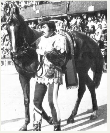 I cavalli del Palio di Siena: Marco&nbsp;Polo