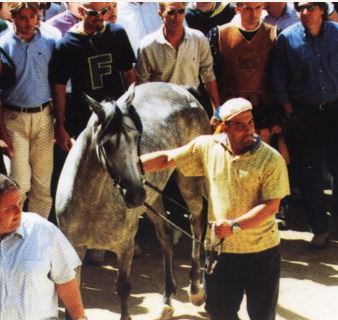 Palio di Siena, I cavalli del Palio: Tessera&nbsp;II
