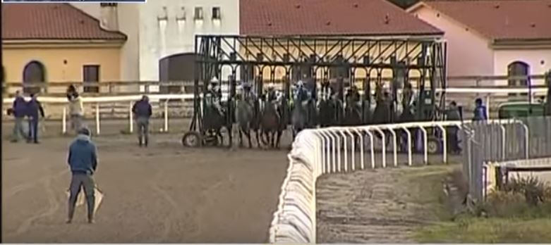 Ippica, Follonica: 21/08 Partenti 1^, 2^ e 6^ Corsa per cavalli&nbsp;Anglo-Arabi