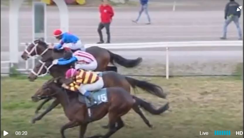 Ippica, Firenze: Risultati 6^ Corsa, Vince Ribelle da&nbsp;Clodia