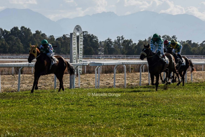 Ippica, Villacidro: Oggi 19/11 le schede dei cavalli vincitori della 1^ e 2^&nbsp;Corsa