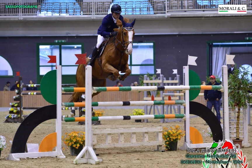 Ippica, Salto a Ostacoli: Addio a Lady Cracotte. Ma gli animalisti dove sono? Rompono le “scatole” solo a Siena perchè fa visibilità&nbsp;dappertutto