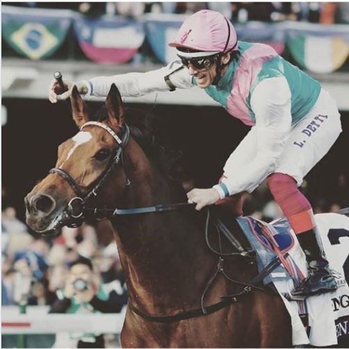 Ippica, Newmarket: Enable torna al lavoro. Ecco la campionessa all’opera..