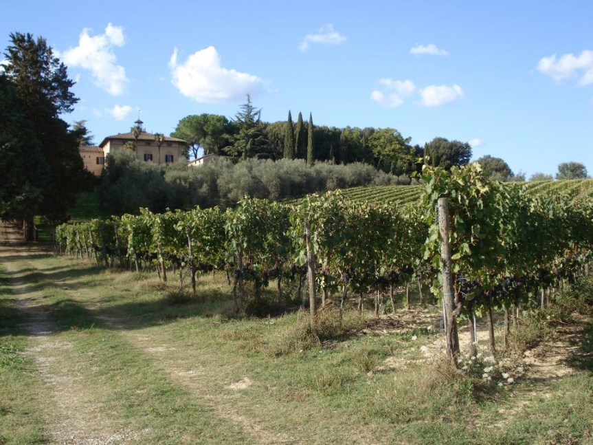 Toscana: I grandi vini toscani uniti per rilanciare l’economia regionale