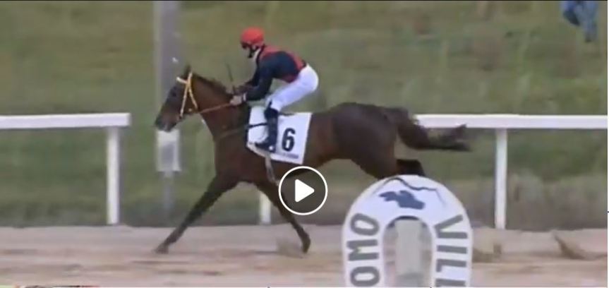 Ippica, Villacidro: Oggi 10/12 Risultati 3^ Corsa Vince&nbsp;Zirigherta