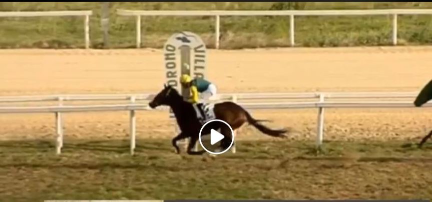 Ippica, Villacidro: Oggi 10/12 Risultati 1^ Corsa Vince Bunora de&nbsp;L’Alguer