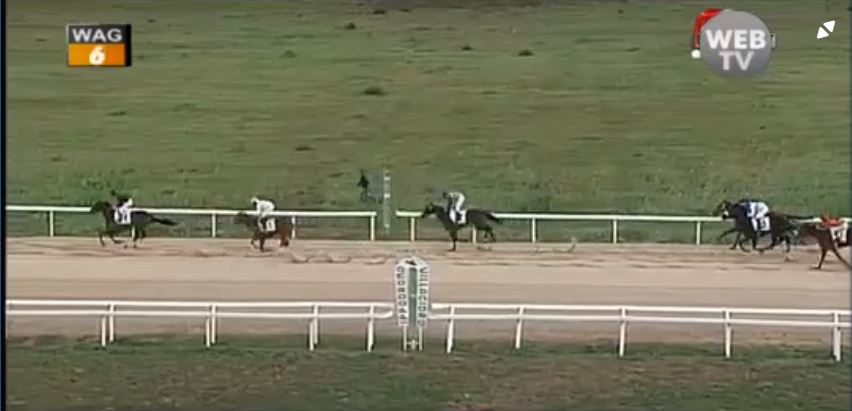 Ippica, Villacidro: Oggi 10/12 Risultati 2^ Corsa Vince Zio&nbsp;Gio’