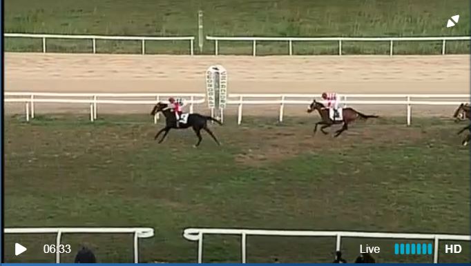 Ippica, Villacidro: Oggi 10/12 Risultati 4^ Corsa Vince&nbsp;Dipinto