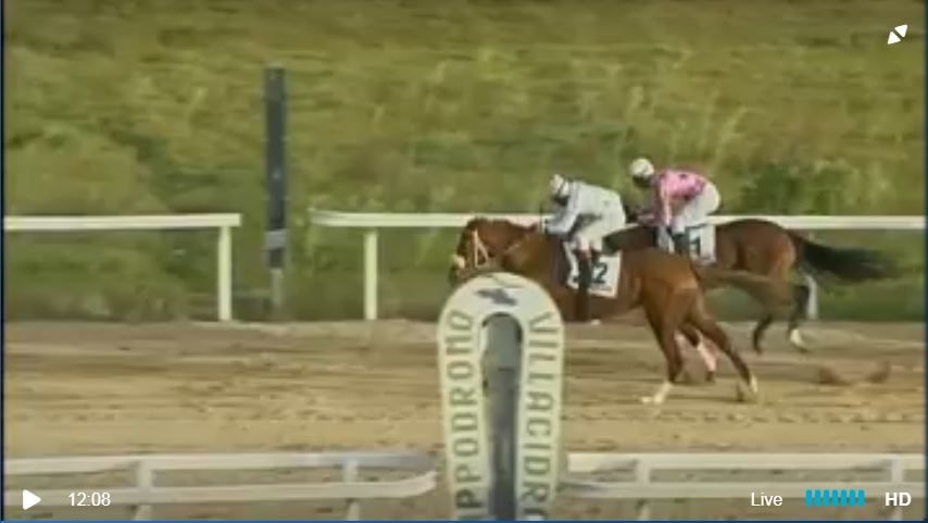 Ippica, Villacidro: Oggi 17/12 Risultati 4^ Corsa Vince&nbsp;Vanda’