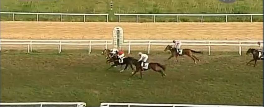 Ippica, Villacidro: Oggi 03/12 Risultati 4^ Corsa Vince&nbsp;Vandà