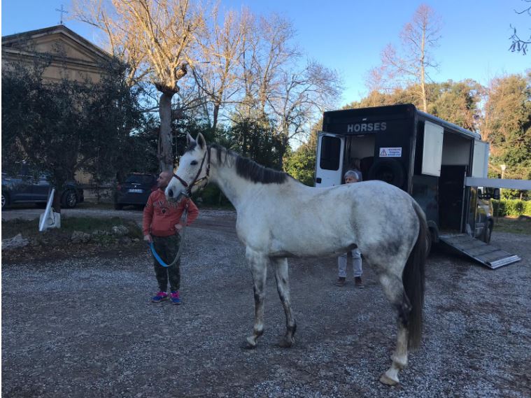 Palio di Siena:  Cavalli dal vivo all’Istituto Agrario di Siena con il Dottor Paolo Rizzi