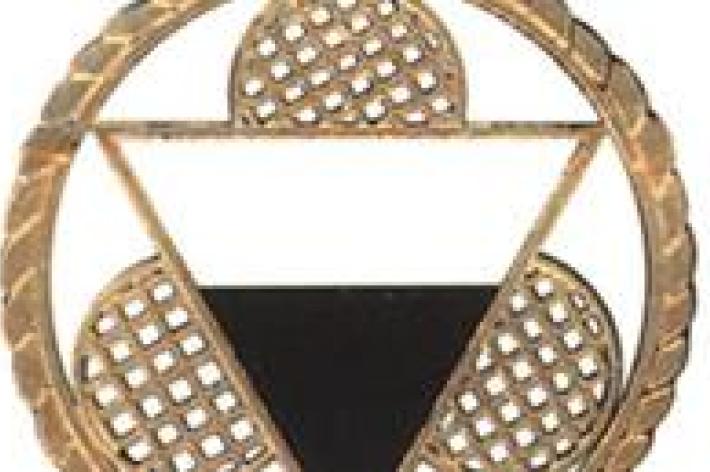 Palio di Siena, esposizione bandiere: Le motivazione del Magistrato delle&nbsp;Contrade