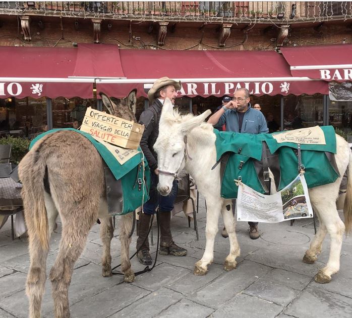 Siena: Il giro d’Italia in sella ad un’asina, il viaggio di Diego D’Incau fa tappa a&nbsp;Siena