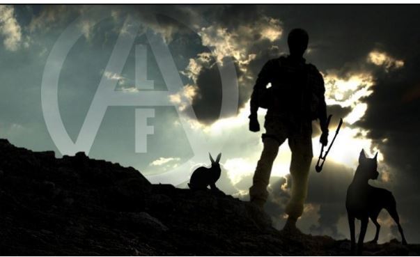 Pisa: Animalisti brava gente, Animalisti distruggono appostamento fisso di&nbsp;caccia