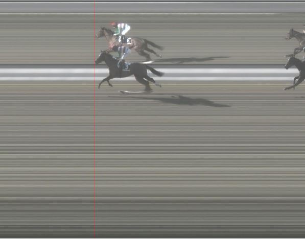 Ippica, Pisa: Oggi 01/01 Risultati 1^ Corsa Vince&nbsp;Mathura