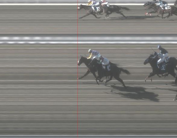 Pisa, Ippica: Oggi 10/01 Risultati 1^ Corsa Vince Marea&nbsp;Rosa