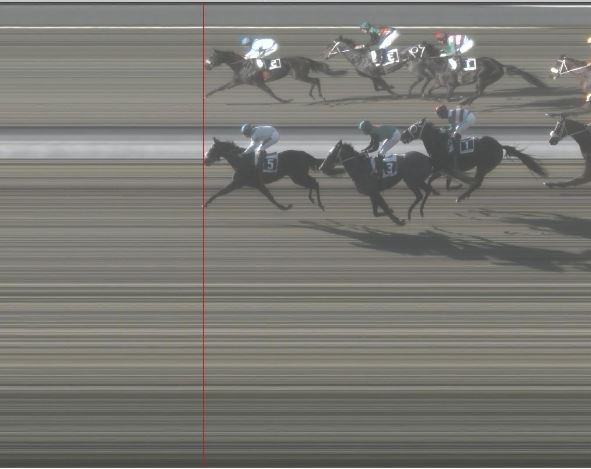 Ippica, Pisa: Oggi 01/01 Risultati 2^ Corsa Vince Admiral&nbsp;Force