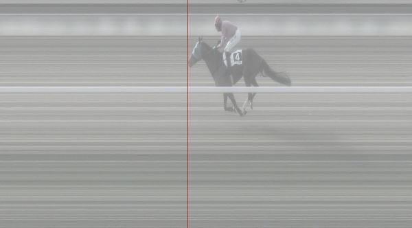 Ippica, Pisa: Oggi 17/01 Risultati 2^ Corsa Vince Storm&nbsp;Again