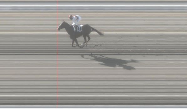 Ippica, Pisa: Oggi 24/01 Risultati 2^ Corsa Vince&nbsp;Natoire