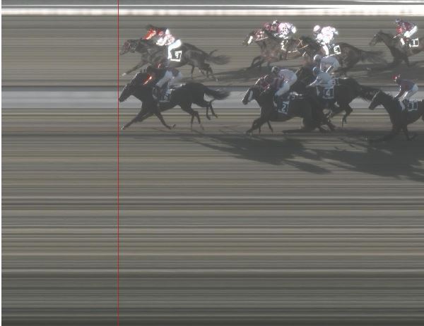 Ippica, Pisa: Oggi 01/01 Risultati 3^ Corsa Vince&nbsp;Jirardot