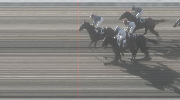 Ippica, Pisa: Oggi 24/01 Risultati 3^ Corsa Vince&nbsp;Mariette