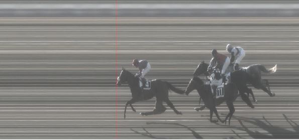 Ippica, Pisa: Oggi 24/01 Risultati 4^ Corsa Vince Staisenzapensieri