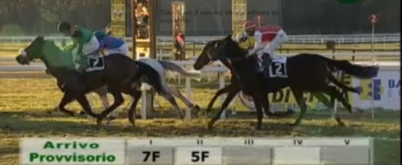 Ippica, Pisa: Oggi 01/01 Risultati 5^ Corsa Vince Billy The&nbsp;Flag