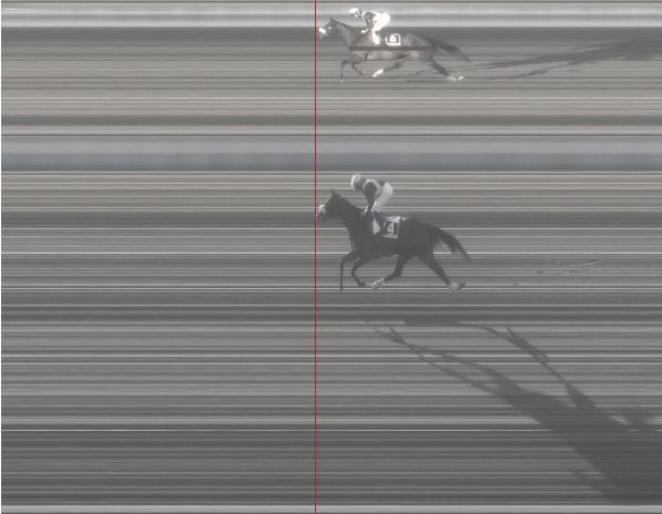 Ippica, Pisa: Oggi 10/01 Risultati 5^ Corsa Vince Please Have&nbsp;Fun