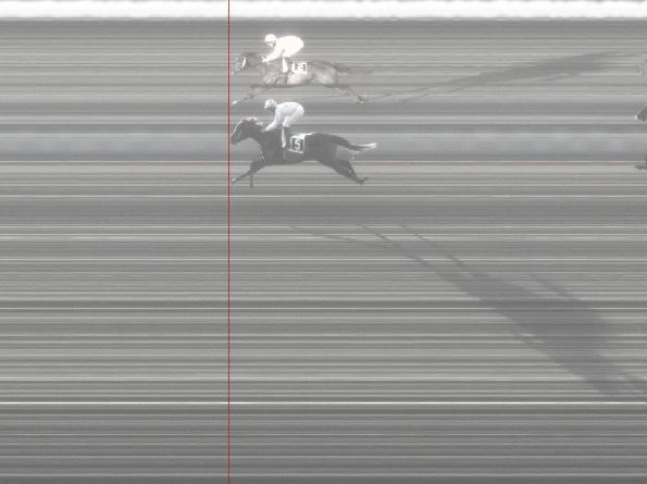 Ippica, Pisa: Oggi 06/01 Risultati 5^ Corsa Vince Gipsy&nbsp;Queen