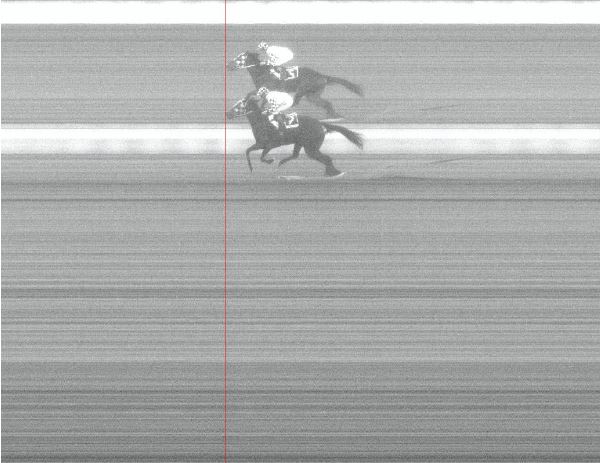 Ippica, Pisa: 01/01 Risultati 6^ Corsa Vince A Fari&nbsp;Spenti