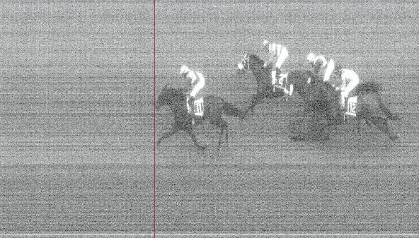 Ippica, Pisa: Oggi 17/01 Risultati 6^ Corsa Vince&nbsp;Sweetness