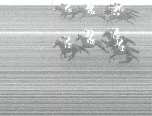 Ippica, Pisa: Oggi 06/01 Risultati 6^ Corsa Vince Staisenzapensieri