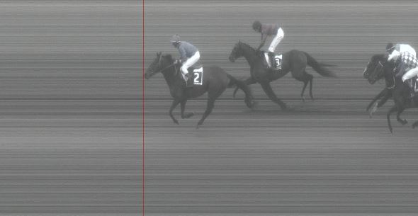 Ippica, Pisa: Oggi 31/01 Risultati 2^ Corsa Vince&nbsp;Chameleon