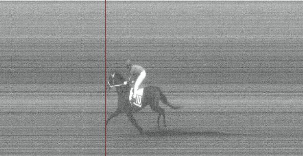 Ippica, Pisa: Oggi 31/01 Risultati 5^ Corsa Vince&nbsp;DangerInTheSky