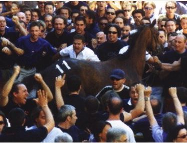Siena, I Cavalli del Palio:&nbsp;Ariannha