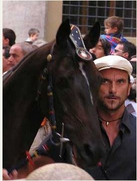 Palio di Siena, I Cavalli del Palio:&nbsp;Barattieri