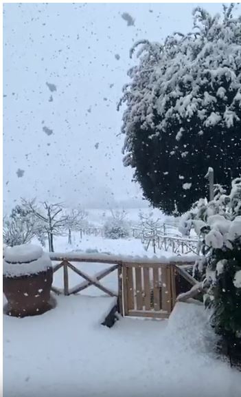 Siena:  Oggi 31/01 Nuove bufere di neve sulla città e sulle zone&nbsp;limitrofe