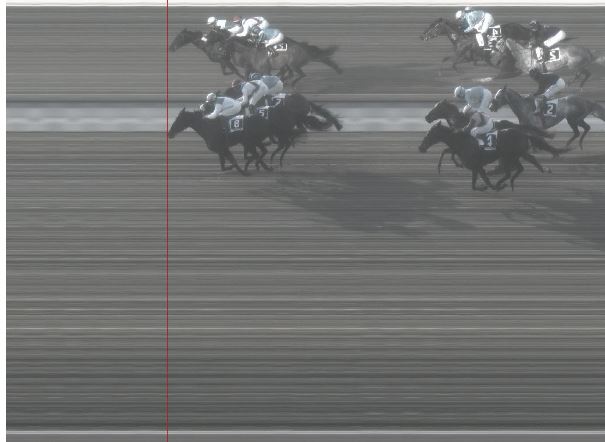 Ippica, Pisa: Oggi 06/01 Risultati 3^ Corsa Vince Elusive&nbsp;janice