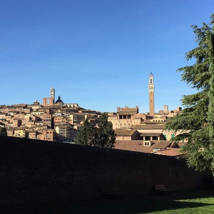 Siena: “Tutte le feste giungono a Siena nel percorsi d’arte” sarà visitabile fino al 31&nbsp;gennaio