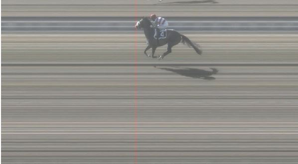 Ippica, Pisa: Oggi 24/02 Risultati 1^ Corsa Vince&nbsp;Thunderman