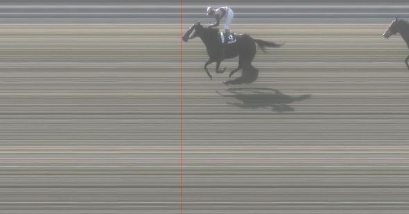 Ippica, Pisa: Oggi 28/02 Risultati 1^ Corsa Vince Re&nbsp;Manfredi