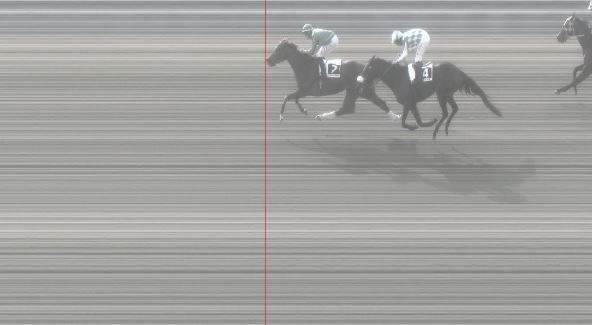 Ippica, Pisa: Oggi 28/02 Risultati 2^ Corsa Vince Tutta&nbsp;Pepe