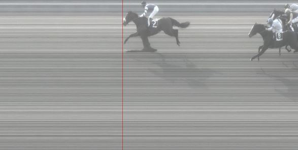 Ippica, Pisa: Oggi 21/02 Risultati 3^ Corsa Vince Yes We&nbsp;Can