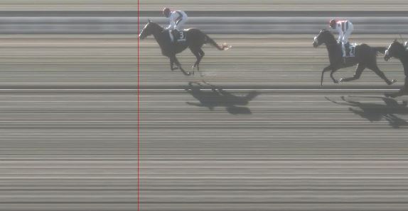 Ippica, Pisa: Oggi 24/02 Risultati 3^ Corsa Vince&nbsp;Boccioni