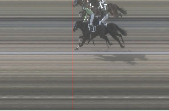 Ippica, Pisa: Oggi 07/02 Risultati 3^ Corsa Vince Panta&nbsp;Rhei