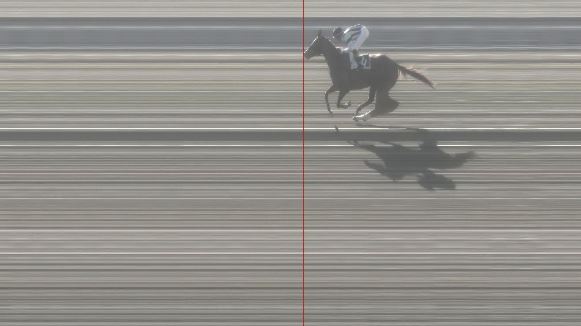 Ippica, Pisa: Oggi 24/02 Risultati 4^ Corsa Vince Thousand&nbsp;Grands