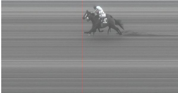 Ippica, Pisa: Oggi 28/02 Risultati 4^ Corsa Vince&nbsp;Philomena