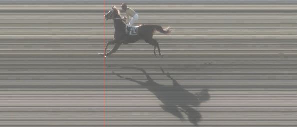 Ippica, Pisa: Oggi 14/02 Risultati 5^ Corsa Vince&nbsp;Zolushka