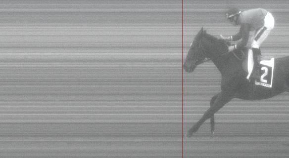 Ippica, Pisa: Oggi 21/02 Risultati 5^ Corsa Vince&nbsp;Pretzhof